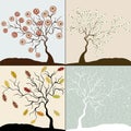 Trees in four seasons - winter, autumn, summer, spring Royalty Free Stock Photo