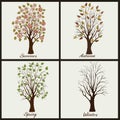 Trees in four seasons - winter, autumn, summer, spring Royalty Free Stock Photo