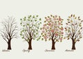 Trees in four seasons - winter, autumn, summer, spring Royalty Free Stock Photo