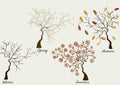 Trees in four seasons - winter, spring, summer, autumn Royalty Free Stock Photo