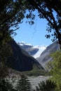 Through trees Fox Glacier, Te Moeka o Tuawe, NZ Royalty Free Stock Photo