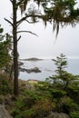 Trees frame Deadman Island near Shark Reef Sanctuary, Lopez Island, Washington, USA