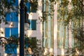 Trees framed by foliage and streetlight in front of reflections in skyscraper windows Royalty Free Stock Photo