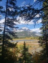 Trees framing beautiful maountain