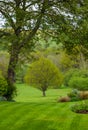 Trees and freshly mown lawn in a rural garden in northwest London, UK