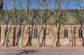 Trees in front of the Maria church in Meppel