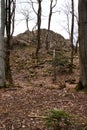 Trees in front of rock formation in German forest Royalty Free Stock Photo