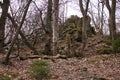 Trees in front of rock formation in German formation Royalty Free Stock Photo