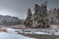 Trees Frosted After An Ice Storm In Canada Wilderness Royalty Free Stock Photo