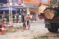 The trees in the garden workers handling typhoon toppled