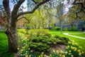 Trees and gardens outside Osgoode Hall, in Toronto, Ontario.