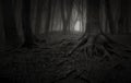 Trees with giant roots in dark haunted forest