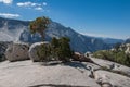 Trees and glacial erratic boulders in Yosemite Royalty Free Stock Photo