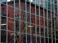 Trees, glass walls and reflections on Alberni street