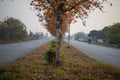 Trees on the green belt of the road in islamabad, Fall season in Islamabad Royalty Free Stock Photo