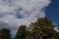 Autumnal trees, blue sky and white clouds