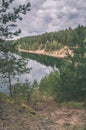 trees in green forest with moss and autumn colors - vintage retro look Royalty Free Stock Photo