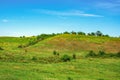 Trees grow on the hills covered with green grass. Green hill