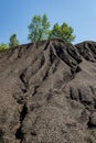 Trees grow on hills of industrial mining waste. Environmental pollution Royalty Free Stock Photo