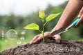 Trees grow in human hands. Hand planting trees with technology of renewable resources to reduce pollution ESG icon concept in hand Royalty Free Stock Photo