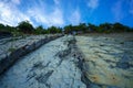 Trees grow on the rock. In background blue sky with clouds. Royalty Free Stock Photo