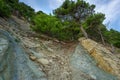 Trees grow on the rock. In background blue sky with clouds. Royalty Free Stock Photo