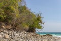 Trees grow from rocky soil Royalty Free Stock Photo