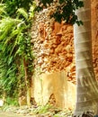 Trees and Clay Walls 2