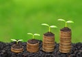 Trees growing on coins