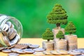 Trees growing on coins money and glass bottle on green background, investment and business concept