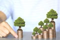 Trees growing on coins money, investment and business concept