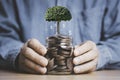 Trees growing on coins in saving jar with USD dollar sign for money deposit savings to return dividend investment and interest