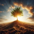 Trees growing from the ground to synthesize sunlight. Royalty Free Stock Photo