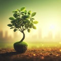 Trees growing from the ground to synthesize sunlight. Royalty Free Stock Photo