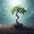 Trees growing from the ground to synthesize sunlight. Royalty Free Stock Photo