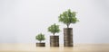 Trees growing on increasing coins stacking for money saving and deposit growth from investment profit , Financial banking concept Royalty Free Stock Photo