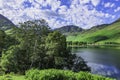 Trees growing on mountain lakeshore