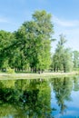 Trees growing near the lake in a park in spring. Spring landscape. Nice sunny weather.