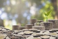 Trees growing on pile of coins money Royalty Free Stock Photo