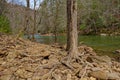 Trees growing on rocks and boulders Royalty Free Stock Photo