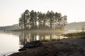 Trees growing on a small island on the lake Royalty Free Stock Photo