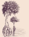 Trees growing in water hand drawing