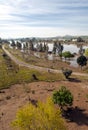 Trees in Guadiana river