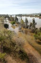 Trees in Guadiana river