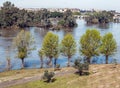 Trees in Guadiana river