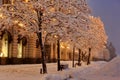 Trees at GUM in Snow in Winter Morning Royalty Free Stock Photo