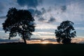 Trees On A Hill Against A Cloudy Sky Royalty Free Stock Photo