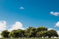 Trees on hill with blue sky and clouds on a sunny day Royalty Free Stock Photo