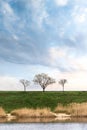 Trees on the hill, coast of lake with grass and reed, sprig time Royalty Free Stock Photo