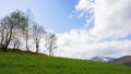 trees on the hill in early spring Royalty Free Stock Photo